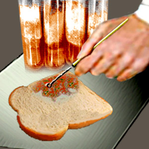 ひとつの遺伝子はひとつのタンパク質を作ります。
